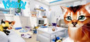 Kitten'd PS4 MÍDIA DIGITAL