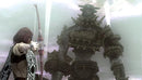 Ico + Shadow of The Colossus Ps3 Mídia Digital